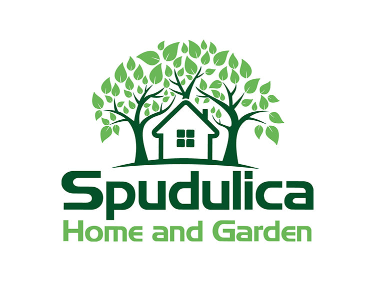 Spudulica