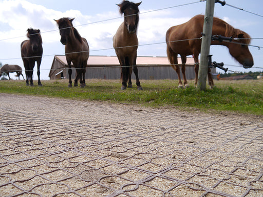 premium level horse arena installed